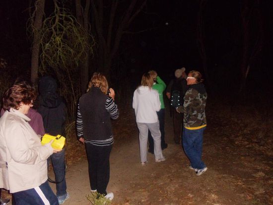 Weiter gehts in den Wald..