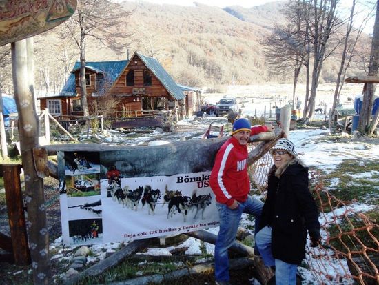 Hier hausen -zig Schlittenhunde