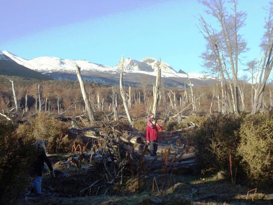 Auf gehts zum Angeln