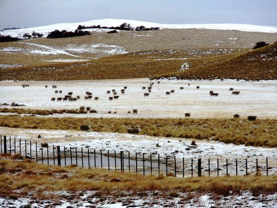 Je höher, desto mehr Schnee