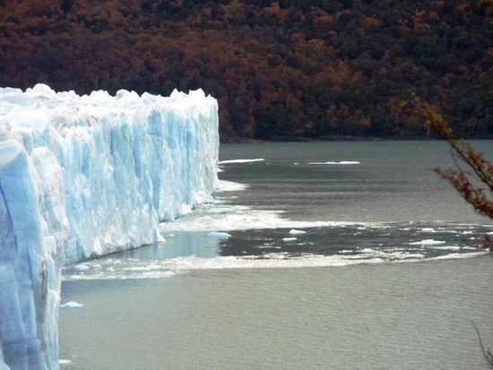 Hier bricht soeben ein Teil des Gletschers in den See. Machte einen lauten "Polterer".
Der Gletscher ist Teil der nach den Polen größten zusammenhängenden Eisfläche der Erde, dem südlichen patagonischen Eisfeld und wird von diesem gespeist. Pro Tag schiebt sich die Eismasse ungefähr einen Meter vorwärts. Dabei trifft ein Teil des Gletschers auf einen Gegenhang und blockiert so etwa alle vier bis zehn Jahre einen Nebenarm des Lago Argentino, den Brazo Rico. Dadurch steigt der Seespiegel im südlichen Teil dieses Arms an. Wenn der Wasserspiegel des Brazo Rico so stark gestiegen ist, dass die Eismassen dem Druck des Wassers nicht mehr standhalten können, kommt es zum Zusammenbruch der Barriere. Der Wasserstand des Brazo Rico sinkt dann innerhalb weniger Stunden wieder auf das normale Niveau ab und reißt die Eisbarriere Stück für Stück mit sich. Dabei entsteht eine extrem starke Strömung, es kommt zu hohen Flutwellen und es bilden sich große Eisberge im Lago Argentino.
So, genug dokumentiert, aber ist wirklich sehr beeindruckend