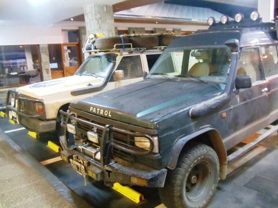 Sehen sie nicht hübsch aus nebeneinander