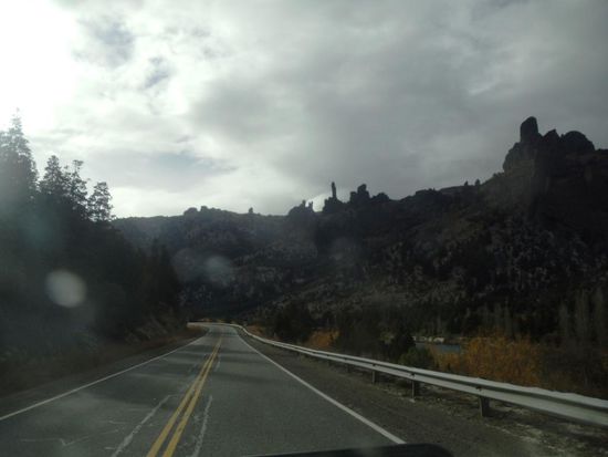 Auf dem Weg nach Zapala