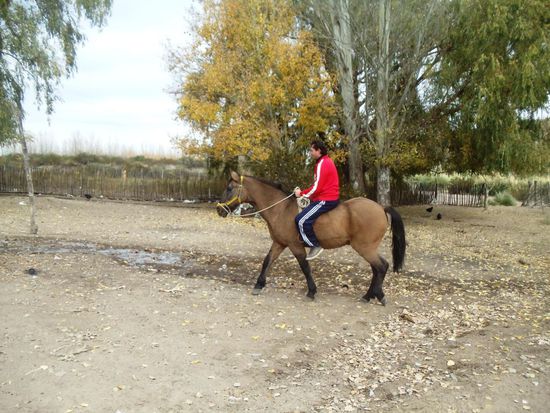 Unsicher, aber es hat geklappt. War auch ein ganz Lieber - oder Liebes??