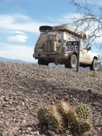 3'501 Kilometer bin ich nun schon auf der Ruta 40 vom Süden unterwegs