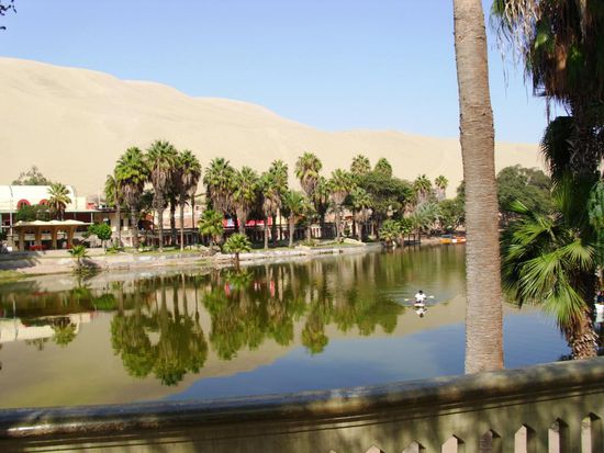 Hinter dem Hostel die wunderschöne Oase