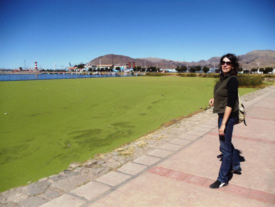 Titicacasee. Das Grün gehört auch zum See und ist schlammig