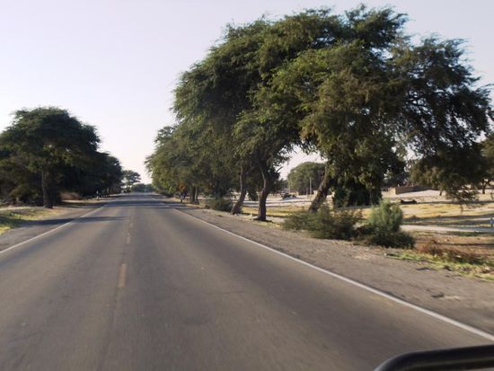 Endlich wird es langsam ein wenig grüner und es hat einige Bäume