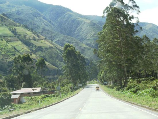 Die Landschaft ist wunderschön und endlich sehe ich wieder grün