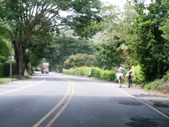 Nebst den Bussen, Liefer- und Lastwagen, vielen Motorrädern und Auto's hat es auch Tiere und...