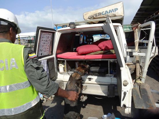 Hier wird an allem und alles geschnuppert