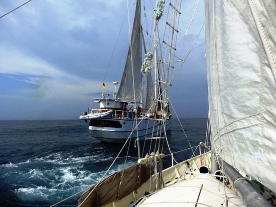 Hier werden wir von der Stahlratte abgeschleppt