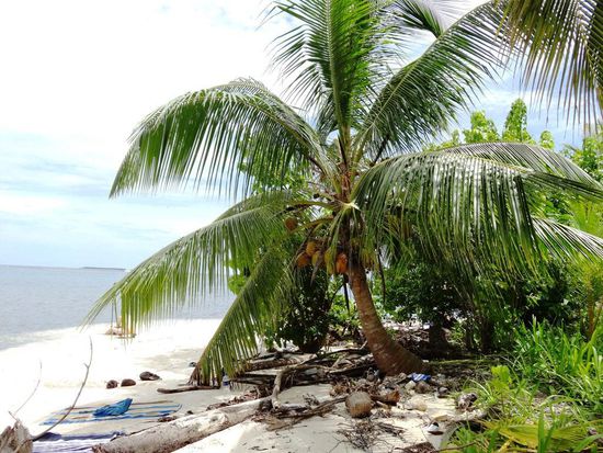 Strandleben auf San Blas