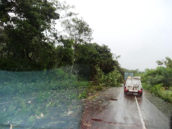 Sturmschäden auf der Strasse in Richtung Grenze Costa Rica