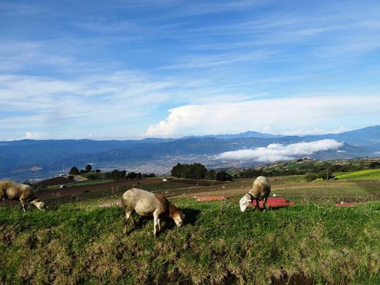 Unterwegs zum Vulkan Irazu
