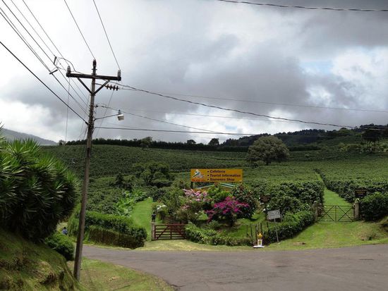 Costa Rica gefällt; Kaffee,