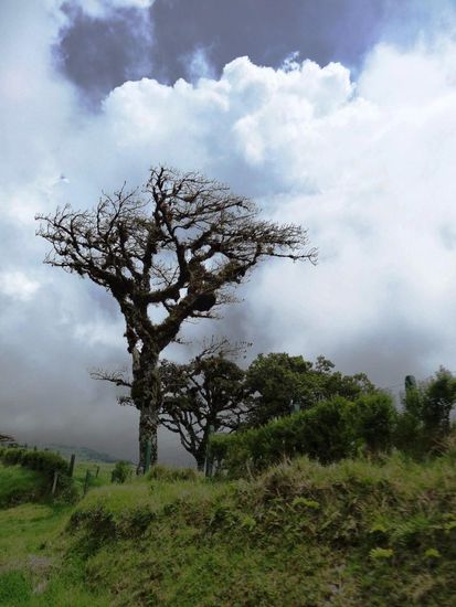 ..wo uns wieder einmal das tägliche Nachmittag Gewitter erwartet