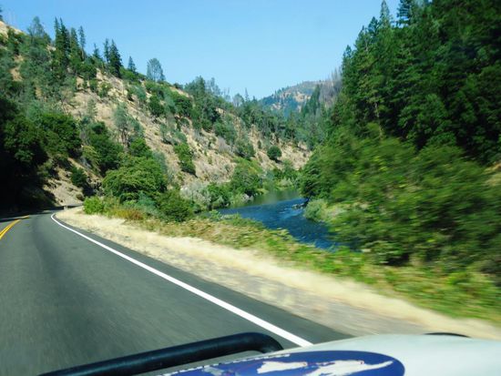 Durch die Wälder Kaliforniens...