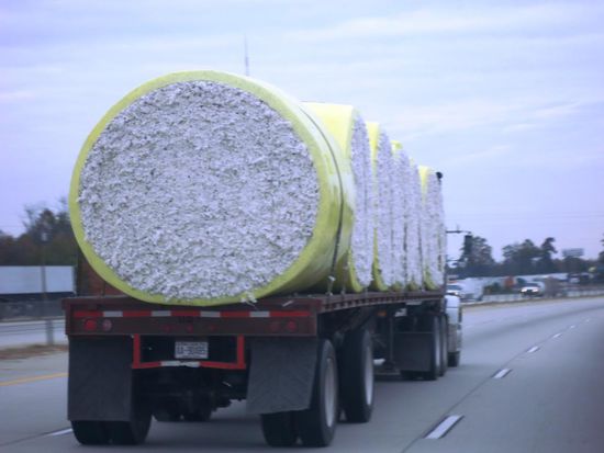 Auch die grossen Trucks mit den Baumwoll Rollen überholen mich