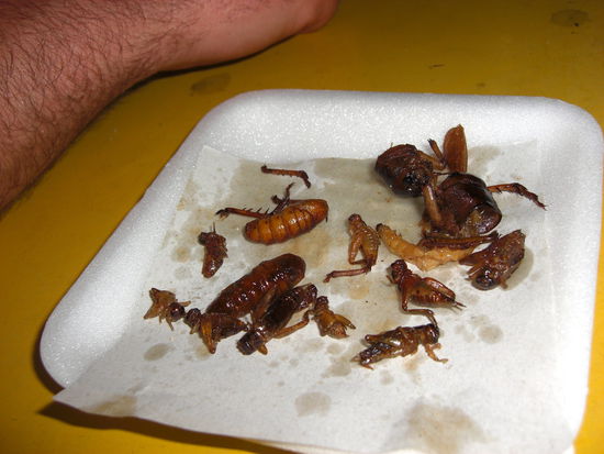 ...die Dinger schmecken gar nicht sooooooooo schlecht...