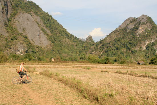 ...auf dem verdorrten Reisfeld...