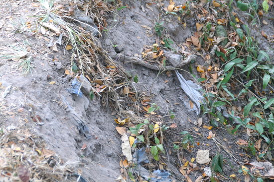 ...überall sah man noch Kleidungsreste und Knochen...