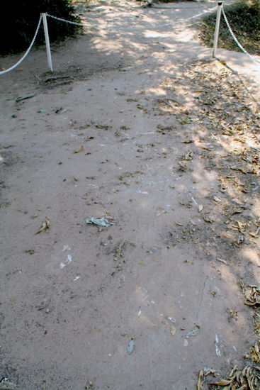 ...quasi mitten auf dem Weg...