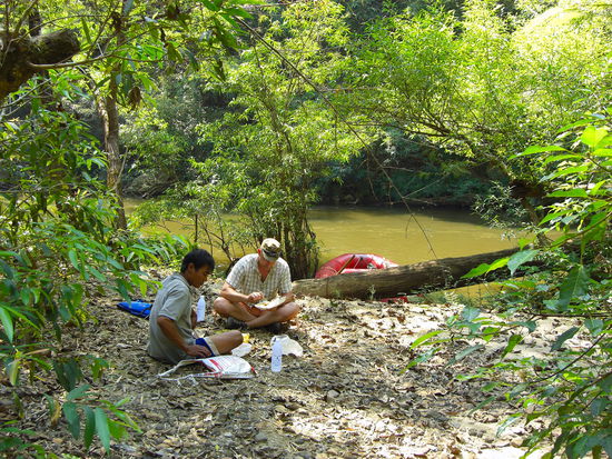 ...mitten im Dschungel...