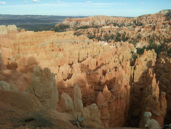 eine farbenpracht der natur...sondergleichen!!!