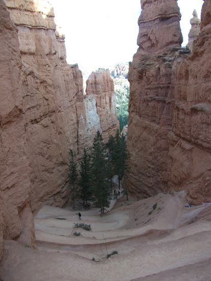 ein wanderweg durch den bryce canyon!
