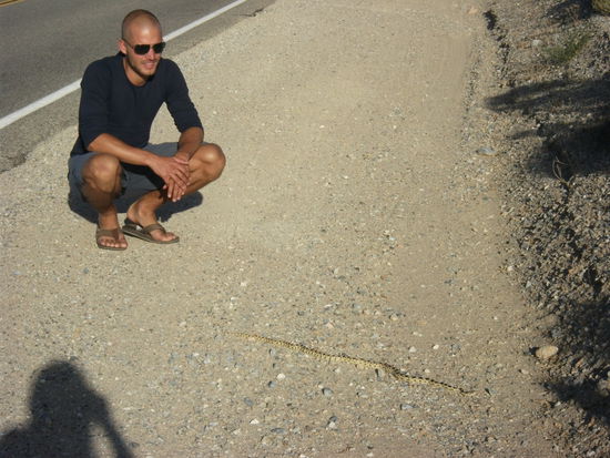 man erkennts auf dem foto nicht so gut, die war schon richtig lang, wussten aber nicht ob giftig oder nicht!!