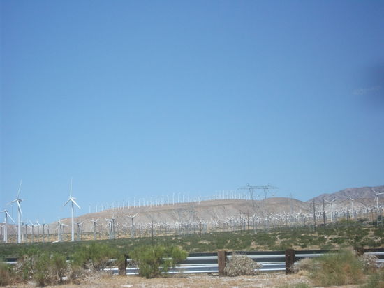 endlose weite mit hunderten von windraedern.