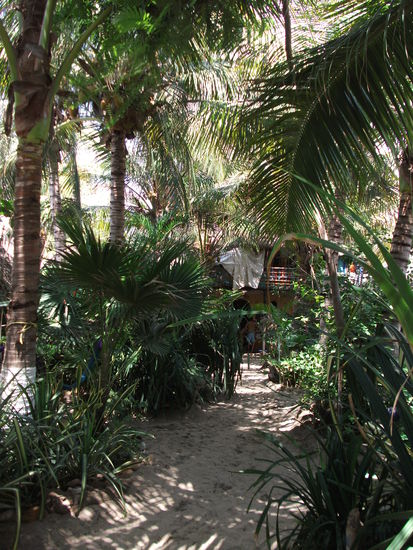 durchgang vom hostel zum beach, mit jungle-feeling