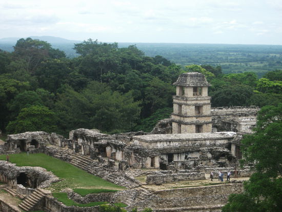palast der maya, hier lebte damals der koenig!
ein riesen bau, merkt man erst wenn man das selbst maschiert.