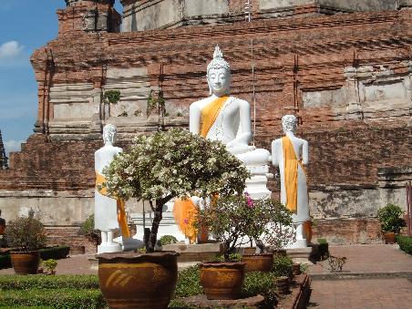 Buddha-Statuen
