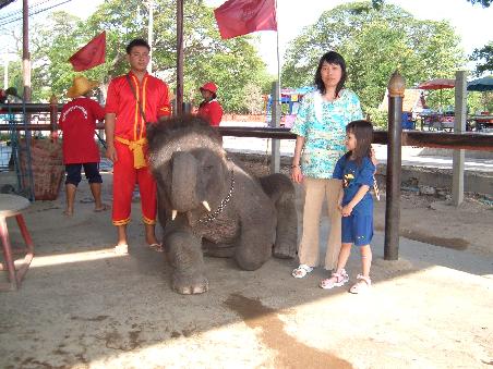 Mutige vor, der Elefant beisst doch nicht...