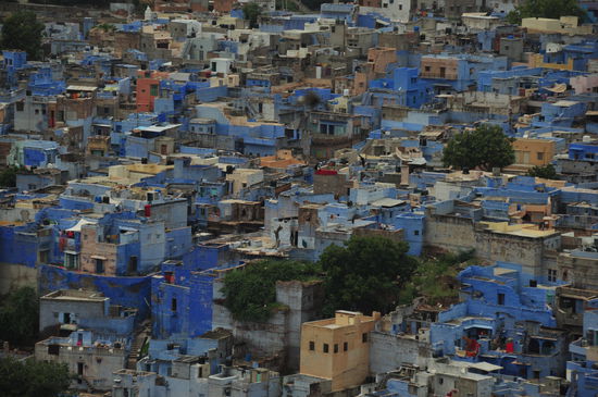 blaues Jodhpur