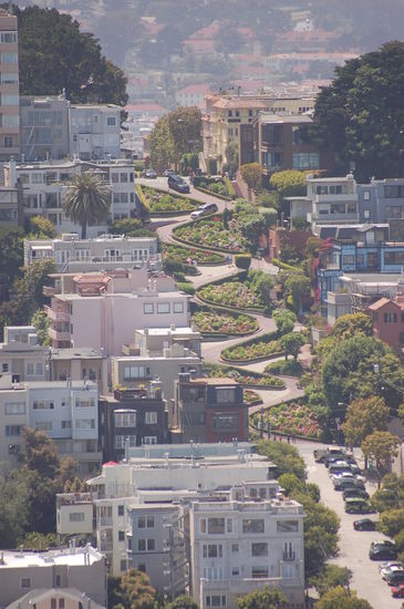 lombard street. kruemmste strasse der welt! ziemlich crazy wie die ganzen karren da hoch und runterfahren...