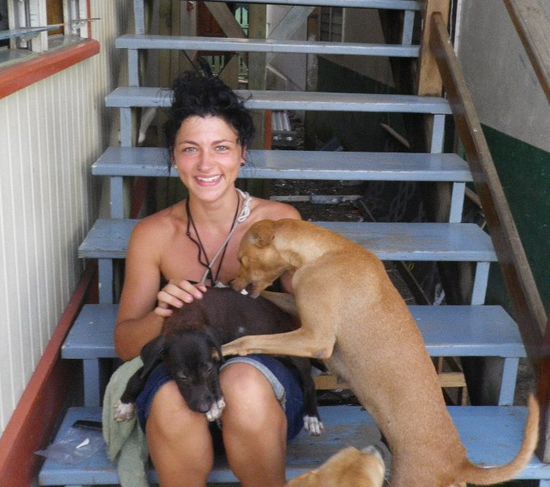 mal wieder crazy dogs everywhere...