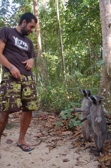 Witziges Aufeinandertreffen mit den Panzerknackern im Nationalpark...