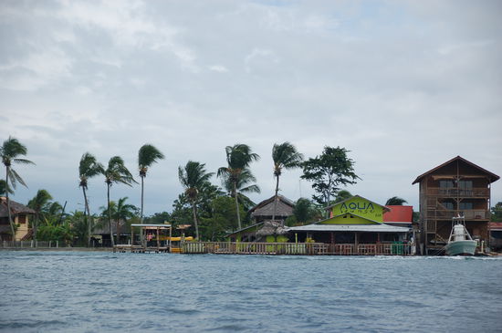 Aqualounge, wo regelmaessig Partys steigen und man nur mit nem Wassertaxi fuer n Dollar von der Hauptinsel aus hinkommt.