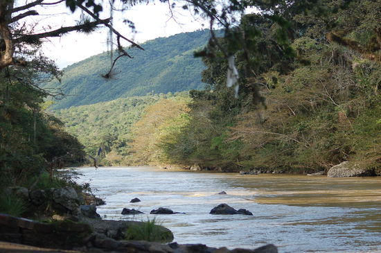 der hauseigene strand bzw. der fluss dahinter..