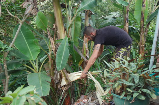 so sah der garten aus bevor wir radikal die machete geschwungen haben...