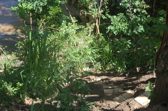 so danach. also.. von unkraut befreit und sogar mit ner treppe zum fluss... war ne harte arbeit...