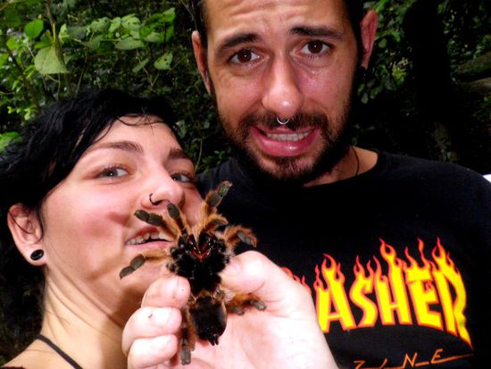 Tarantula. Pff, kein Ding...