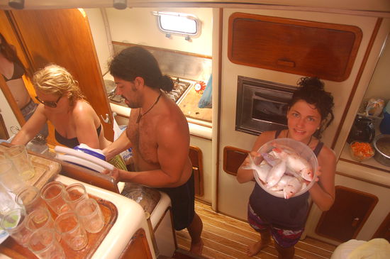 Red Snapper. frisch von den Kunas gekauft...