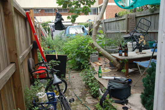 Unser Garten im Squat in Newtown