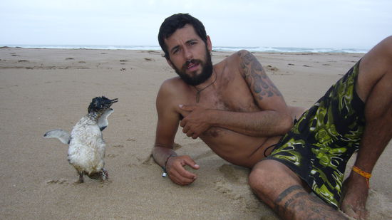 me and the pinguine or whatever it used to be...