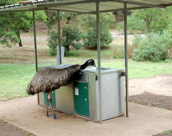 Ueberall kostenlose 
BBQ, die man eigenlich nutzen kann...