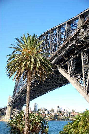 Sydney Harbour Bridge... links davon mit geilem Ausblick wohnen wir im Moment bei Matt